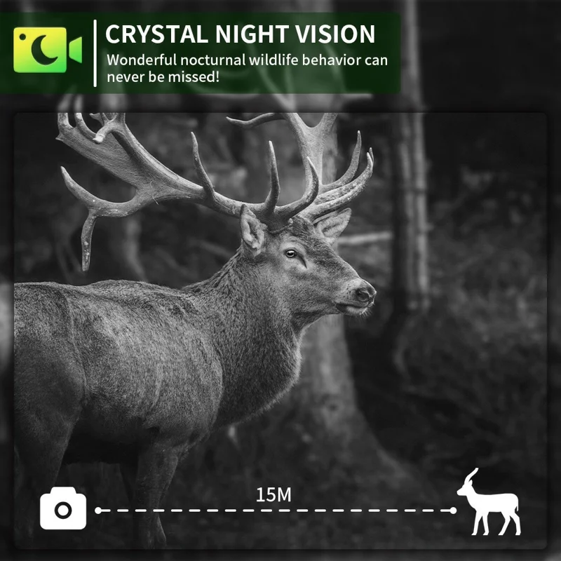 PR802LTE 4G LTE Wildcamera 60MP 4K Nachtkijker IP66 Waterdichte Jachtcamera voor Wildwaarneming