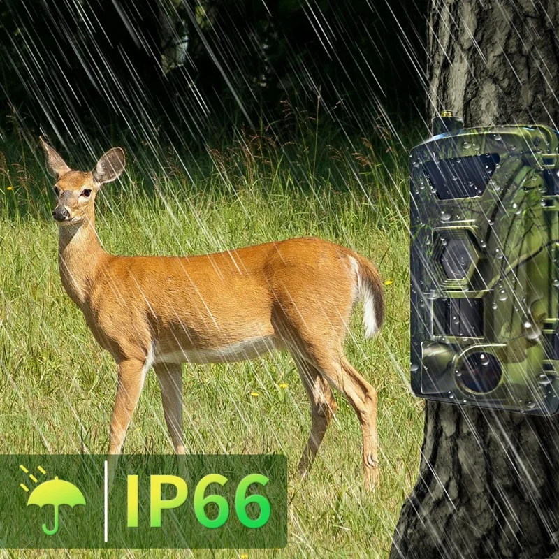 PR802LTE 4G LTE Wildcamera 60MP 4K Nachtkijker IP66 Waterdichte Jachtcamera voor Wildwaarneming