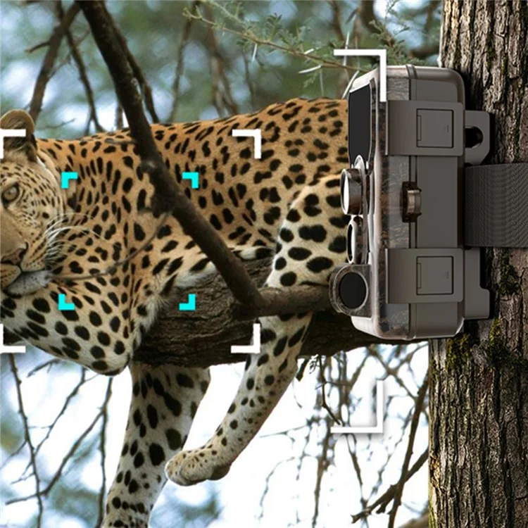 SJCAM M50 2.33-inch HD Screen Infrared Camera Animal Sports Camera Outdoor IP65 Waterproof Surveillance Hunting Camera - Dried Leaf Green