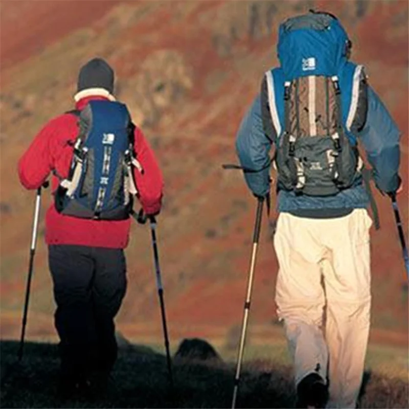 CLEYE 4-Section Aluminum Alloy Telescopic Trekking Pole Anti-Shock T-Handle Walking Stick for Traveling Camping Hiking - Silver