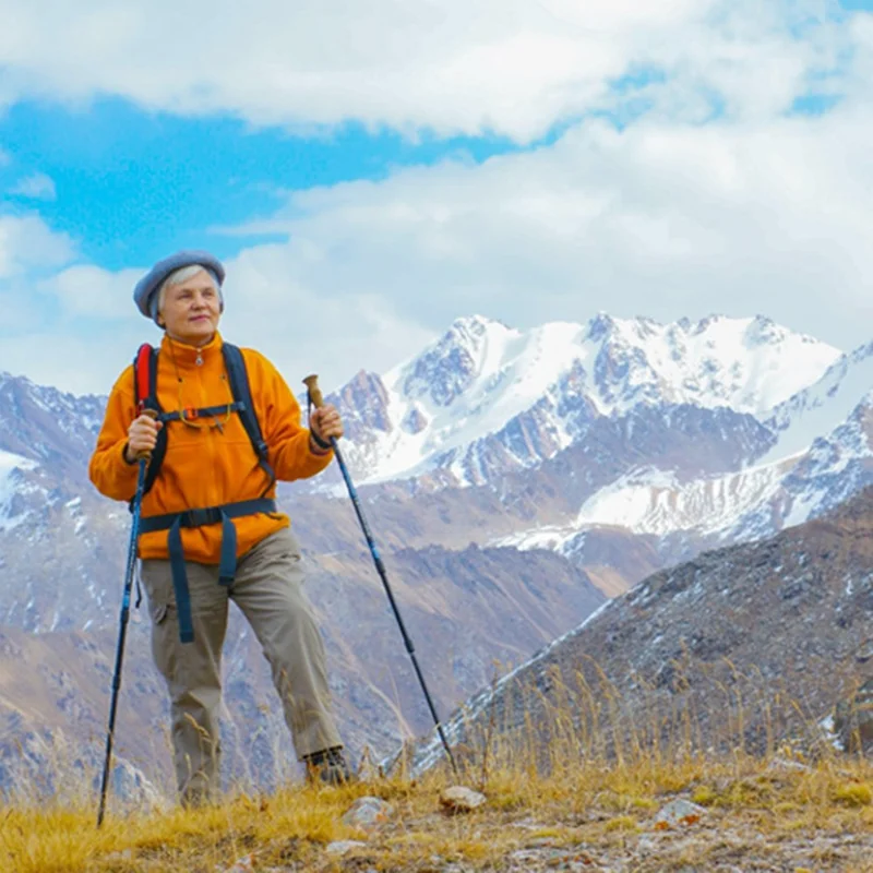 NECASIL G208S Aluminum Alloy Trekking Pole 62-135CM Folding Walking Stick Ultralight for Hiking, Camping - Black