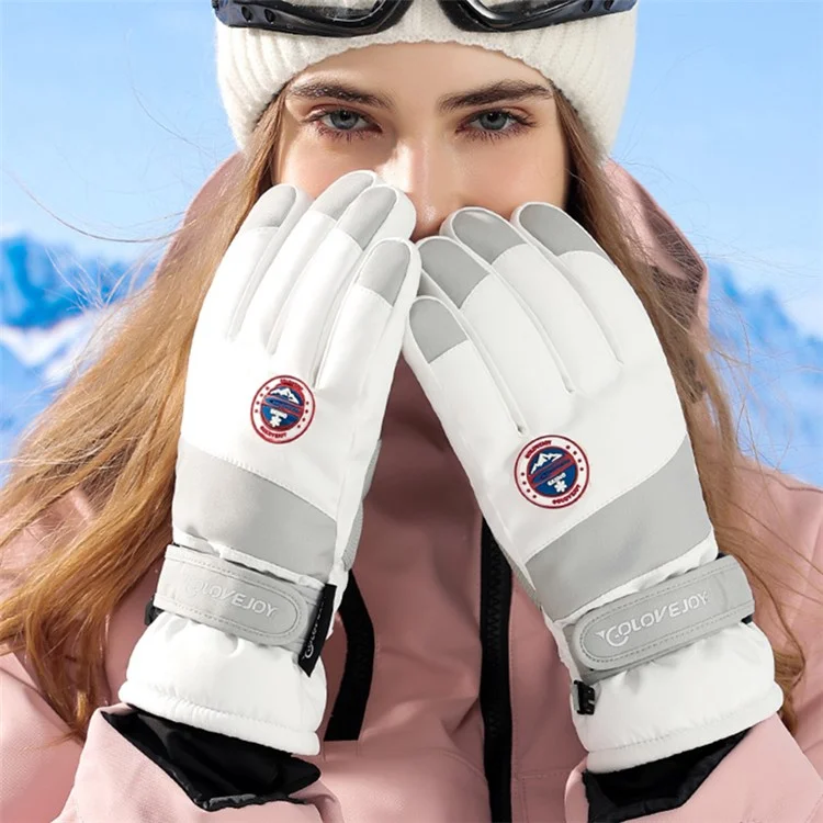 GOLOVEJOY SK29 One Pair Winter Skiing Gloves Thermal Warmer Hand Cover Touch Phone Screen Function - Dark Grey / L