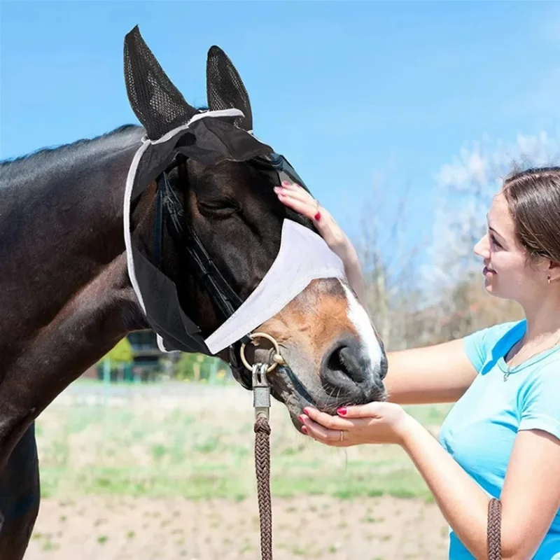 Masque anti-moustiques et mouches respirant pour cheval, taille L, avec sangle à bande magique - Noir