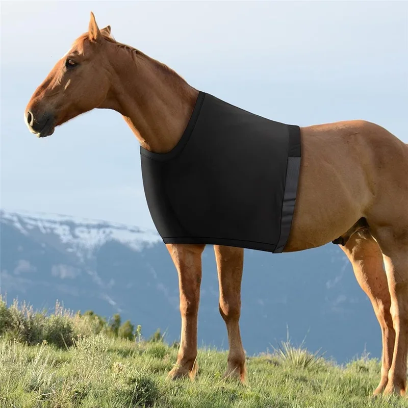 Horse Riding Anti Friction Shoulder Chest Protector Spandex Cloth Breathable Elastic Vest