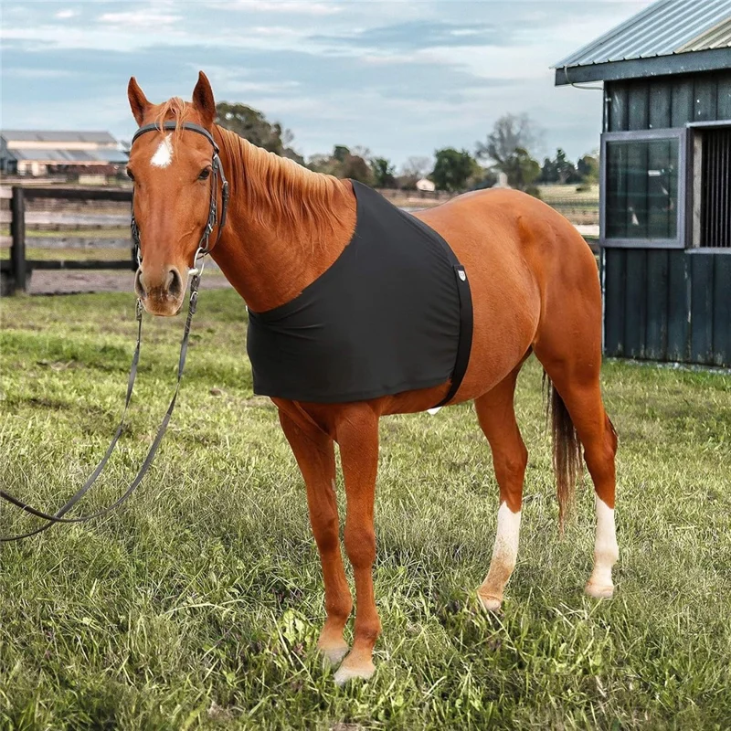Horse Riding Anti Friction Shoulder Chest Protector Spandex Cloth Breathable Elastic Vest
