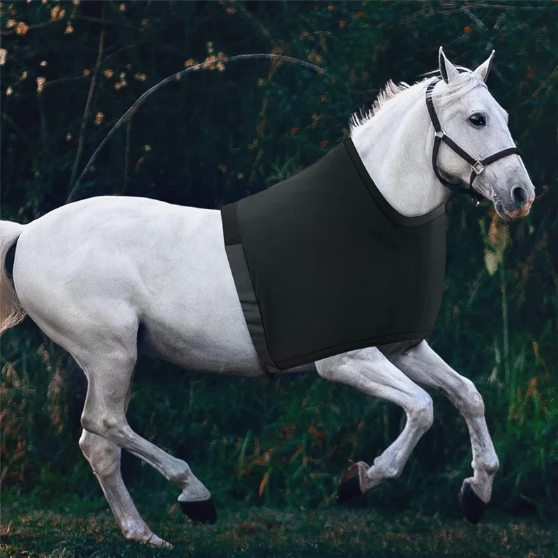 Horse Riding Anti Friction Shoulder Chest Protector Spandex Cloth Breathable Elastic Vest