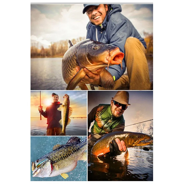 5PCS Esche da Pesca Dure a 5 Sezioni con Aspetto Realistico di Pesce e Scatola di Stoccaggio - Colori Misti