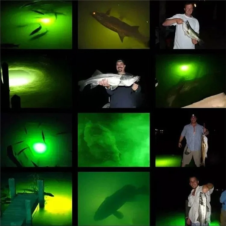 Lampe de pêche sous-marine LED avec câble de 5m, Lampe d'attraction de poissons étanche haute luminosité avec pince - Lumière verte 13W