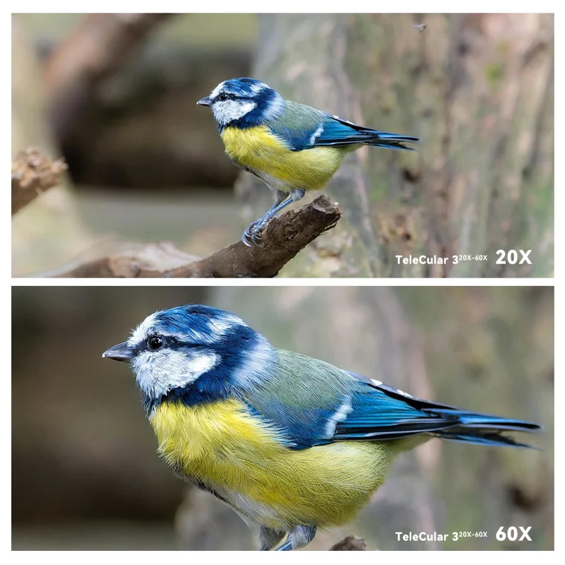 APEXEL APL-T20-60X Monocular Telescope 20-60X Zoom High Magnification HD Portable Telescope for Concert / Bird Watching