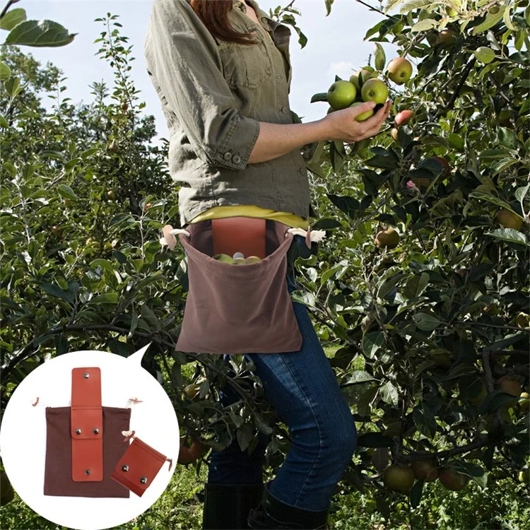 HALIN Obst-Pflücktasche, Hängetasche für die Taille, Kordelzug-Segeltuch-Foragetasche für Camping, Picknick - Khaki
