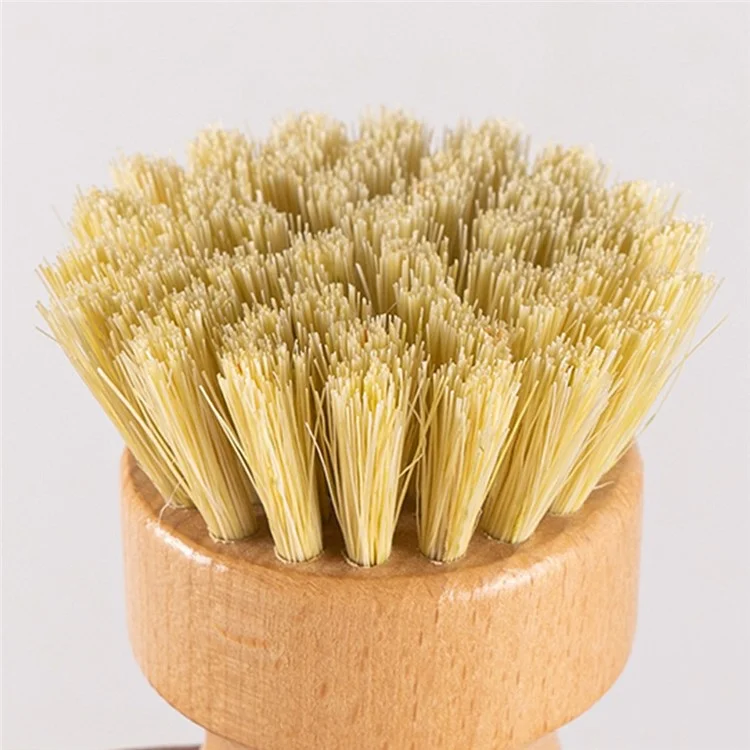 Brosse de nettoyage pour barbecue en bois de hêtre rond avec manche (sans certificat FDA)