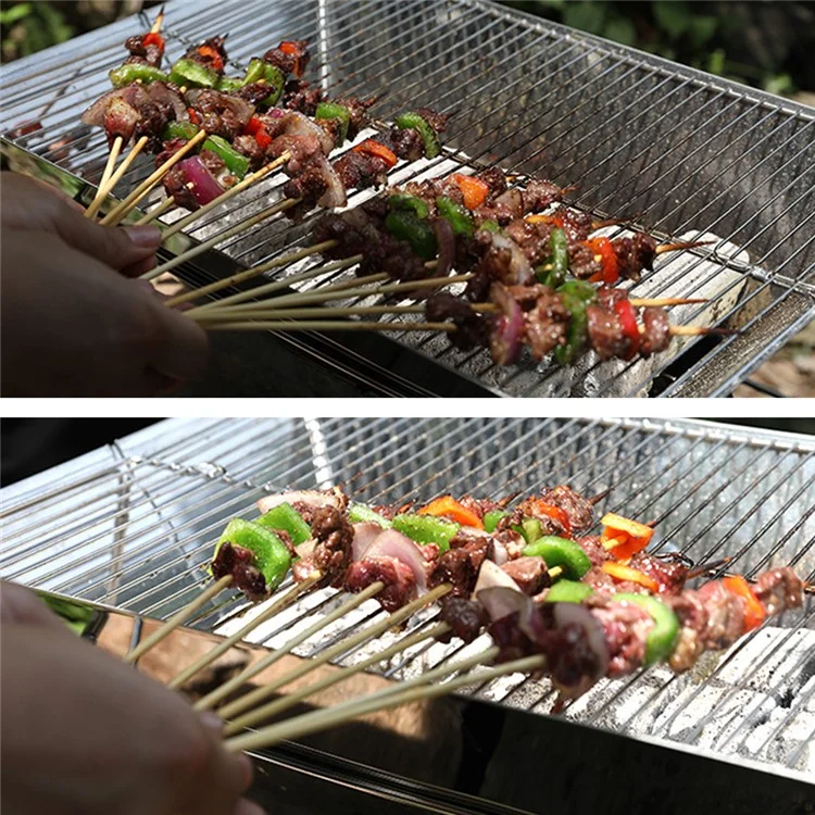 HALIN Stainless Steel Charcoal Grill Detachable BBQ Grill Tools for Outdoor Camping Hiking Picnics (BPA-Free, No FDA Certified)