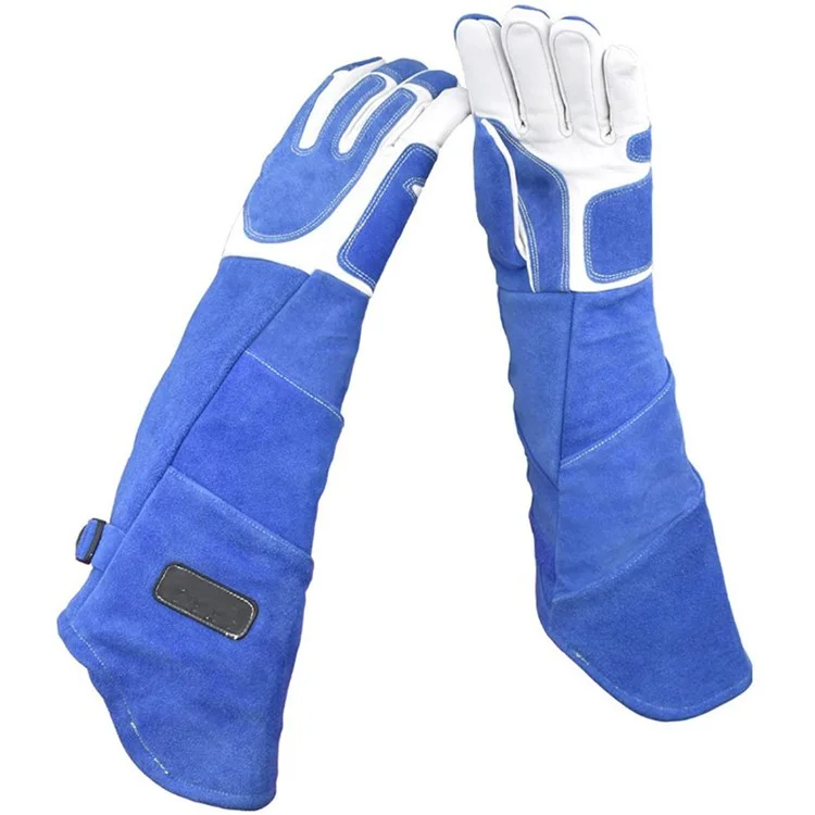 Bite-Proof Animal Handling Gloves Bird Handling Falcon Gloves Grabbing for Pet Training - Blue/M