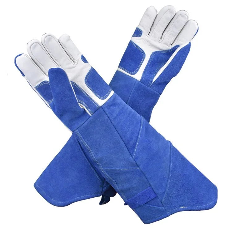 Bite-Proof Animal Handling Gloves Bird Handling Falcon Gloves Grabbing for Pet Training - Blue/M