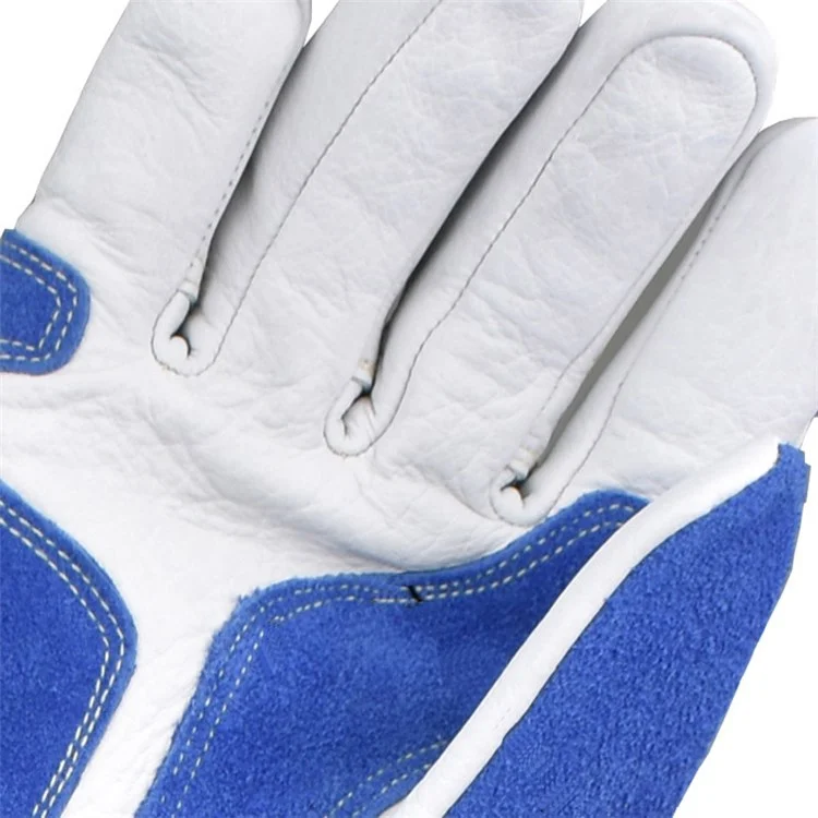 Bite-Proof Animal Handling Gloves Bird Handling Falcon Gloves Grabbing for Pet Training - Blue/M