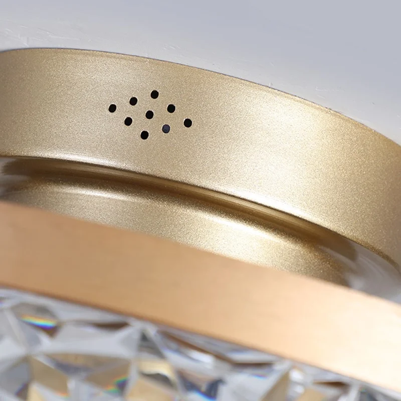 50cm 220V 6 Speeds Adjustable Luxury Ceiling Fan Light for Living Room / Bedroom / Dining Room Decorative Lamp - Black