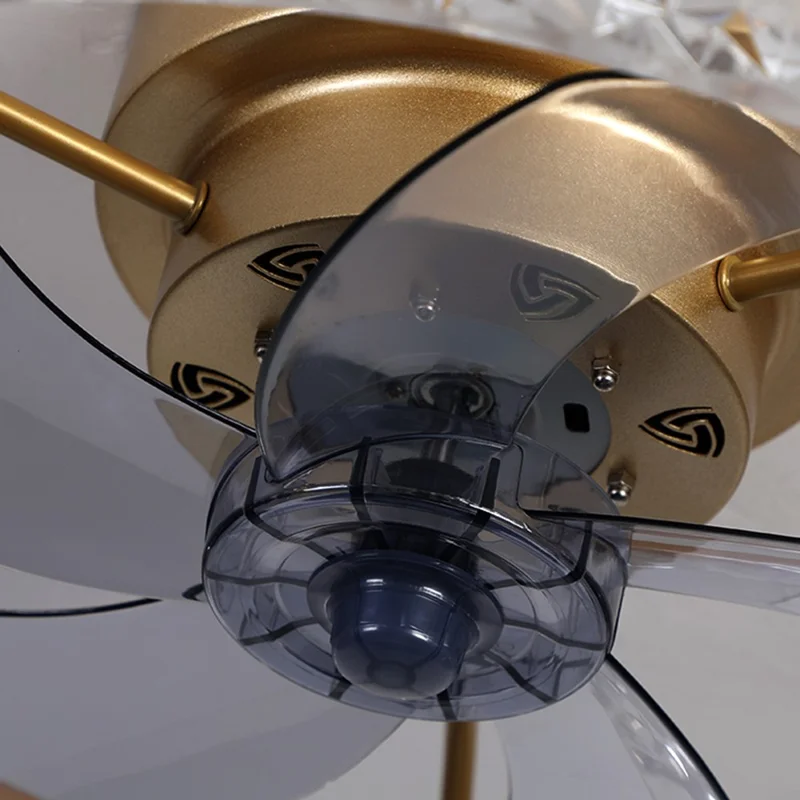 50cm 220V 6 Speeds Adjustable Luxury Ceiling Fan Light for Living Room / Bedroom / Dining Room Decorative Lamp - Black