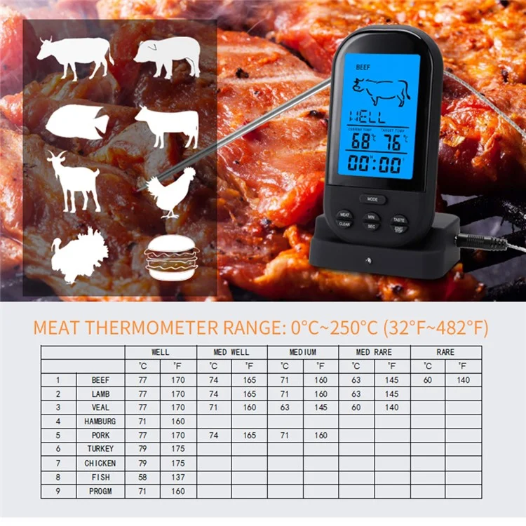 TS-BN52 Termometro digitale per alimenti con timer BBQ Griglia Cottura Temperatura della carne Cucina (No FDA, senza BPA) - Argento