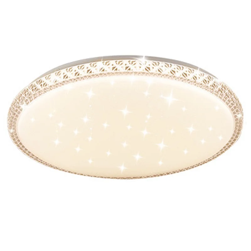 Single Layer 60cm Round 48W Stepless Dimming Starry Sky LED Ceiling Light Modern Luxury Living Room Lamp