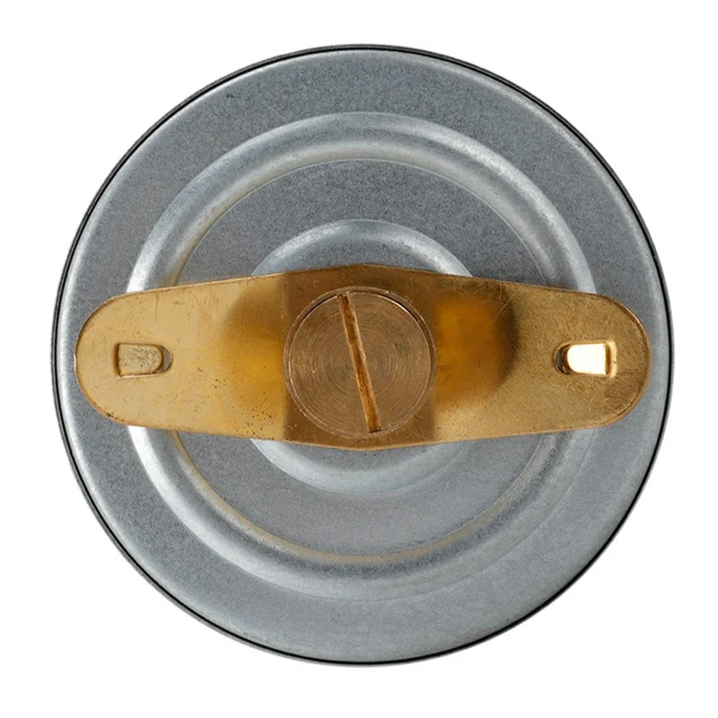 TS-W52 63 mm Skive 0-120 Grader Celsius Bimetallisk Termometer, Aksialmontering til Industriel Gas, Væske, Damp