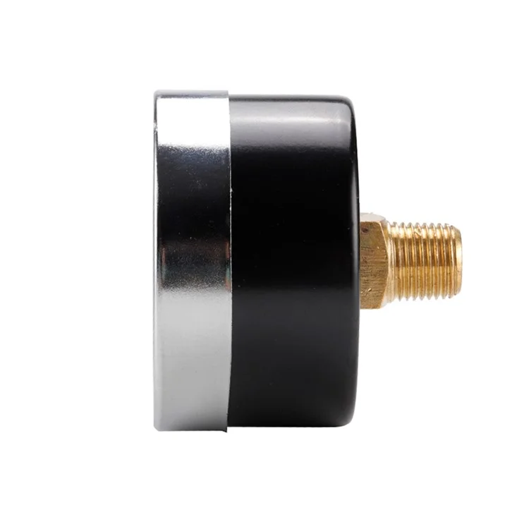 Manómetro económico de doble escala TS-Z51 Manómetro de presión de agua de acero inoxidable Montaje inferior de 1/8 "NPT
