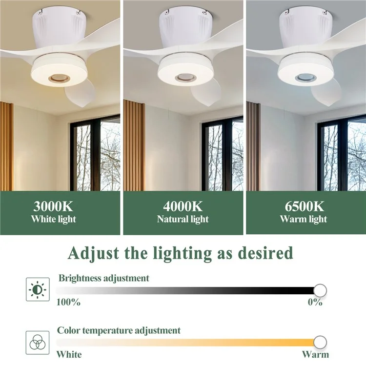 LEC016R RGB Dimmable Ceiling Light 3 Speeds Adjustable Fan Lamp with Bluetooth-Compatible Speaker, Solid Color Blades - White