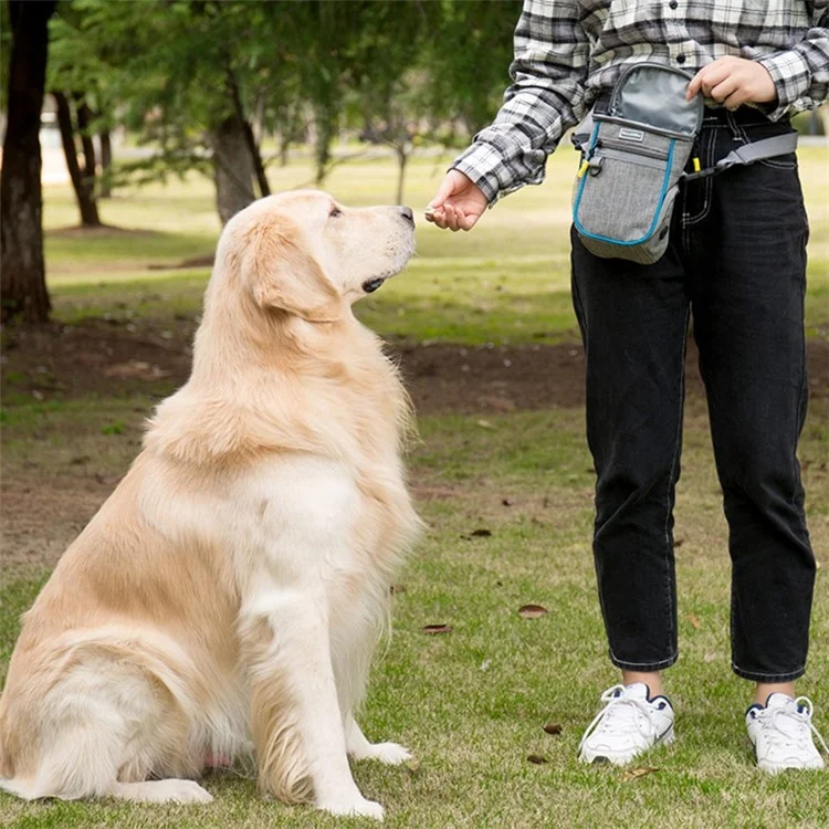 LDLC QS-095 Outdoor Walking Large Capacity Dog Treat Pouch Waterproof Pet Training Waist Bag - Light Grey