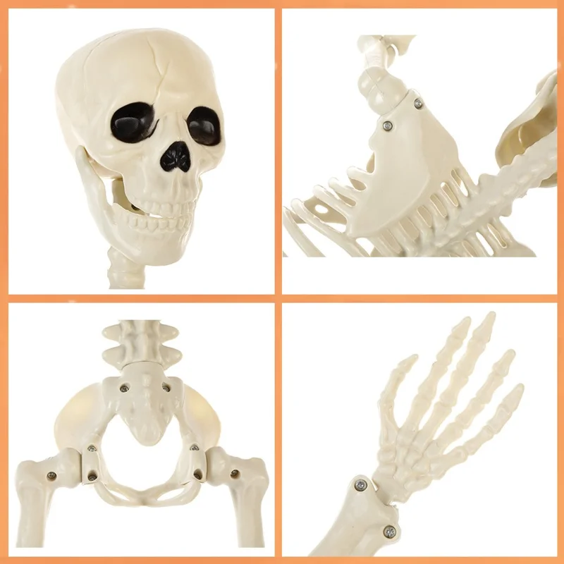 165cm Full Body Halloween Party Posable Skeleton with Movable Joints Haunted House Horror Prop Gift