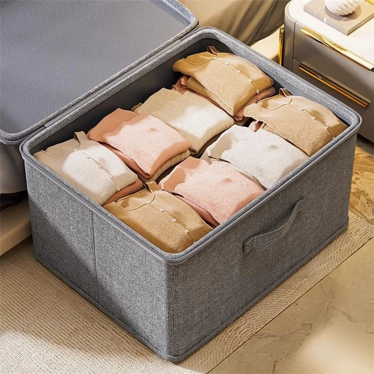 Cationic Foldable Storage Box with Lid Dual Zipper Lockable Large Capacity Organizer S - 30 x 20 x 14 CM