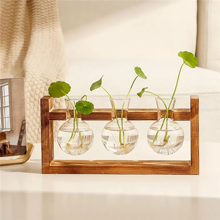 Three Glass Vase Wood Stand Hydroponic Plant Container Pothos Planter Home Decor