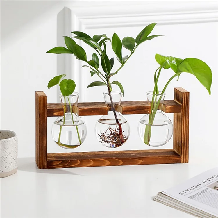 Three Glass Vase Wood Stand Hydroponic Plant Container Pothos Planter Home Decor