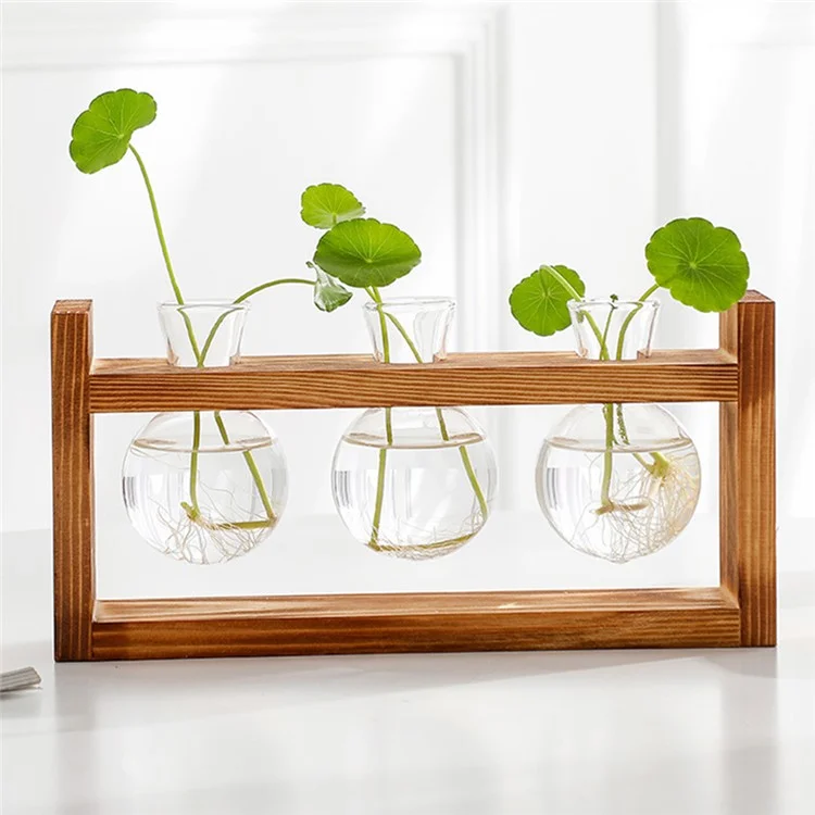 Three Glass Vase Wood Stand Hydroponic Plant Container Pothos Planter Home Decor