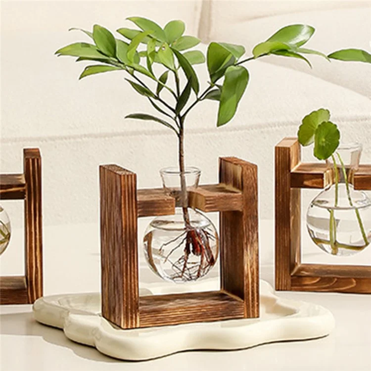 Single Glass Vase Wood Stand Hydroponic Plant Container Pothos Planter Home Decor
