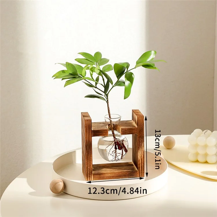 Single Glass Vase Wood Stand Hydroponic Plant Container Pothos Planter Home Decor