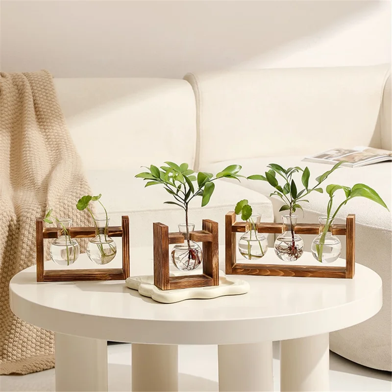 Single Glass Vase Wood Stand Hydroponic Plant Container Pothos Planter Home Decor