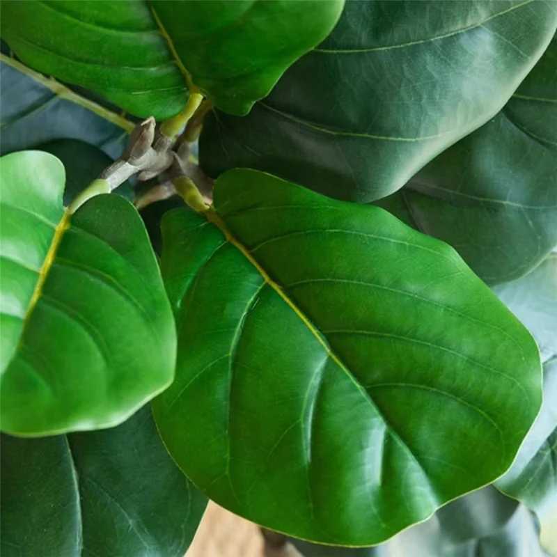 80cm Simulated Fiddle Leaf Fig Potted Plant Indoor Hall Decoration Green Plant Artificial Bionic