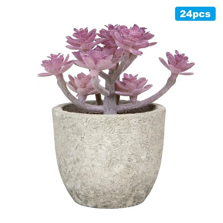 24pcs Cactaceae Simulazione Saltuniche Mini Bonsai Desktop Fish Plant Desktop