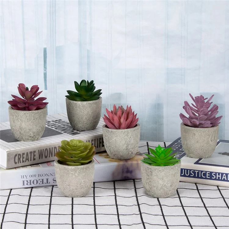 24pcs Cactaceae Simulazione Saltuniche Mini Bonsai Desktop Fish Plant Desktop