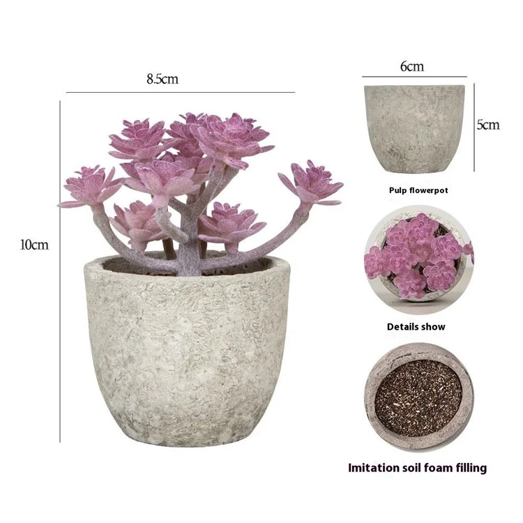 24pcs Cactaceae Simulazione Saltuniche Mini Bonsai Desktop Fish Plant Desktop