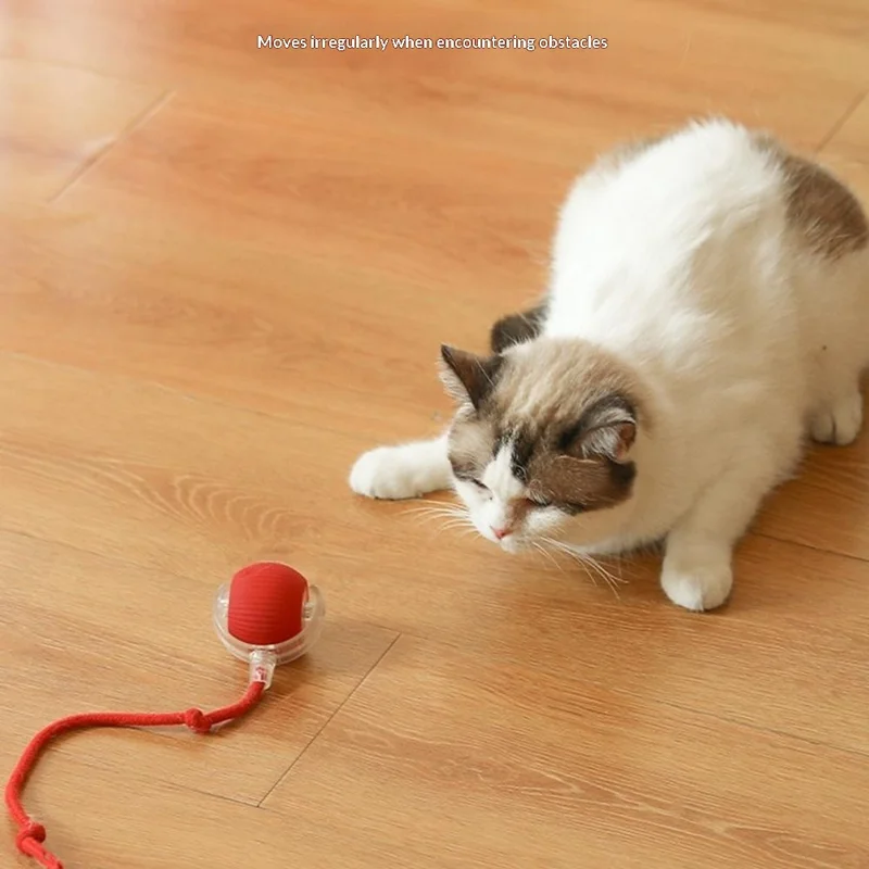 Smart Wake automatischer Rollball interaktives Katzenspielzeug mit Seil - Rot