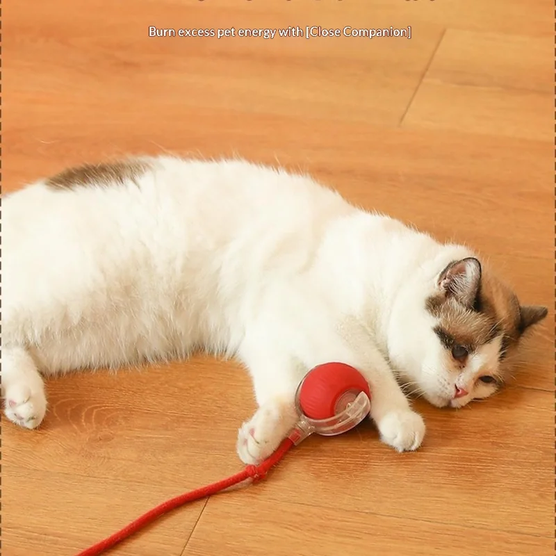 Interactive Cat Self-Entertaining Automatic Rolling Ball with Rope Pet Chew Toy (No Auto Wake Function) - Red