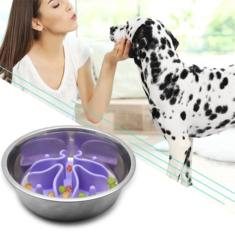 Bol D'alimentation Lent de Chien en Silicone Avec Accessoires de Distributeur Alimentaire Pour Animaux de Compagnie - Gris