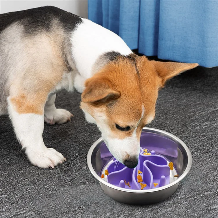 Bol D'alimentation Lent de Chien en Silicone Avec Accessoires de Distributeur Alimentaire Pour Animaux de Compagnie - Orange