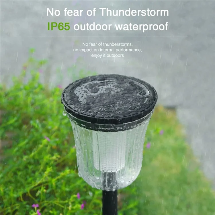 DS701 Lampe de Jardin à Énergie Solaire LED Patio Pelouse Lumière avec Lumière Blanche + Lumière Chaude