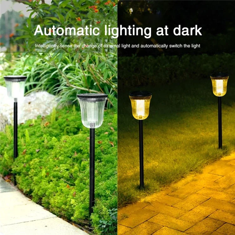 DS701 Lampe de Jardin à Énergie Solaire LED Patio Pelouse Lumière avec Lumière Blanche + Lumière Chaude
