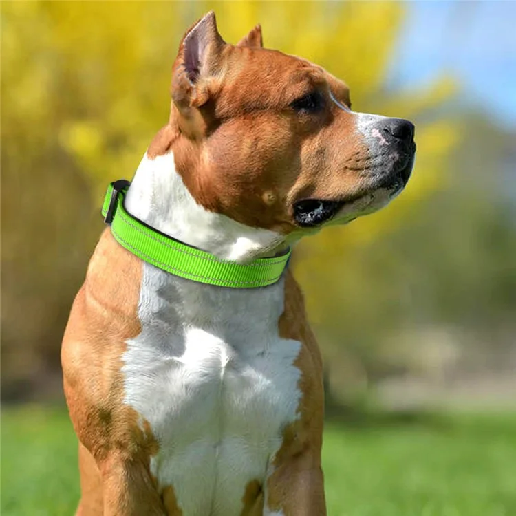 XS Size 20-30cm Adjustable Reflective Dog Collar with Safety Locking Buckle 1.5cm Wide - Fluorescent Green