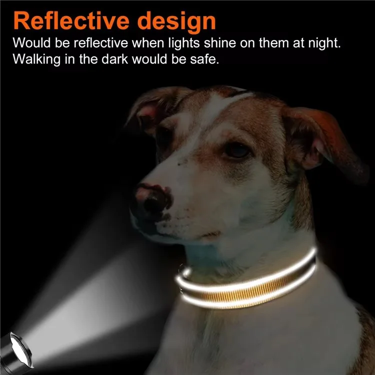 Weicher gepolsterter reflektierender Nylon-Hundehalsband mit verstellbarer Größe L - Schwarz, mit 1,5 m Leine zum Spazierengehen und Training