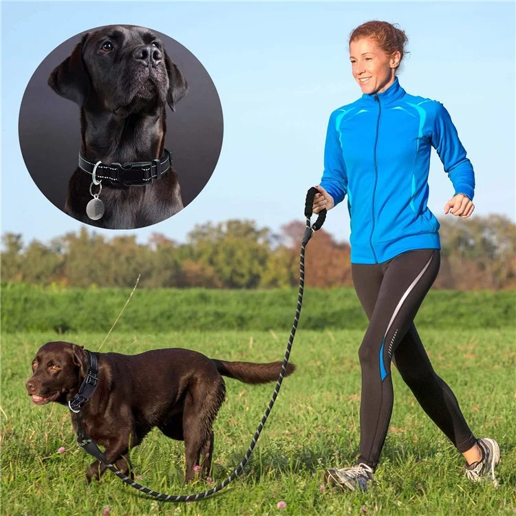 Weicher gepolsterter reflektierender Nylon-Hundehalsband mit verstellbarer Größe L - Schwarz, mit 1,5 m Leine zum Spazierengehen und Training