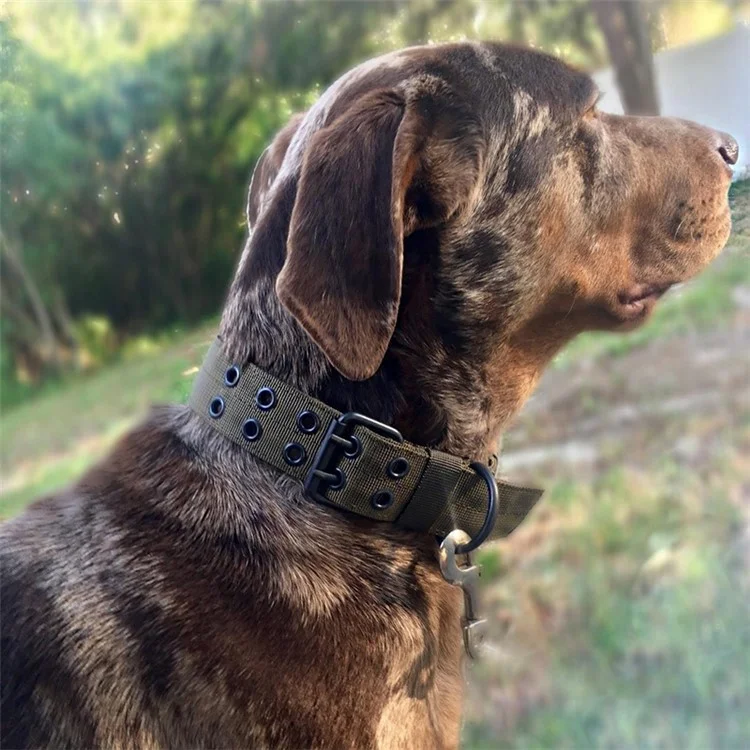 Nylon Tactical Dog Collar Military Adjustable Durable for Large German Shepherd Outdoor Working Training Walking Pet Supplies - Army Green / XL