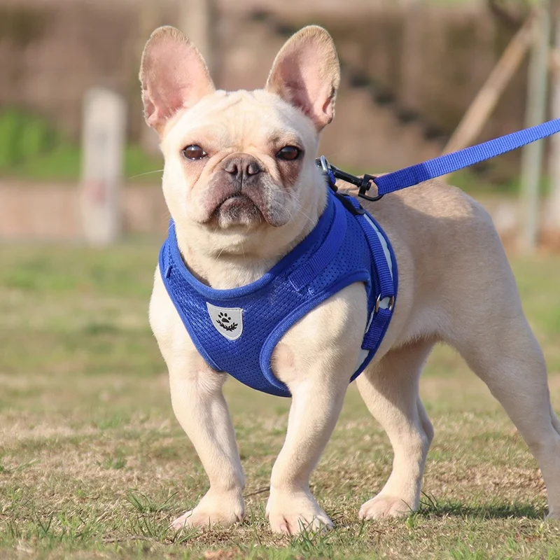 Summer Breathable Reflective Pet Dog Harness Puppy Gift Vest with Traction Rope - Grey S